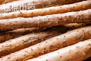 范弗里特：申京还在成长 运动能力不如他的小加索尔防守就很出色